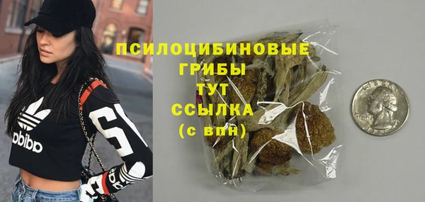 индика Ветлуга