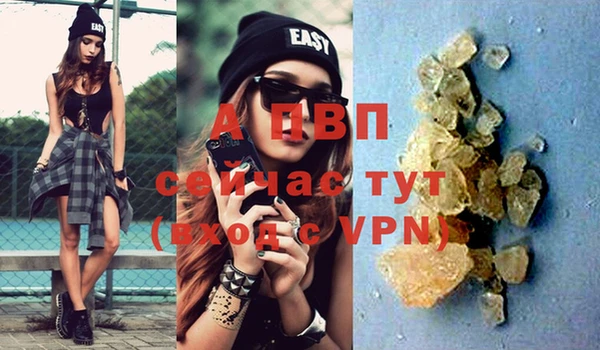 стафф Осинники