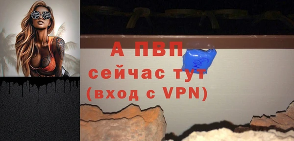 стафф Осинники