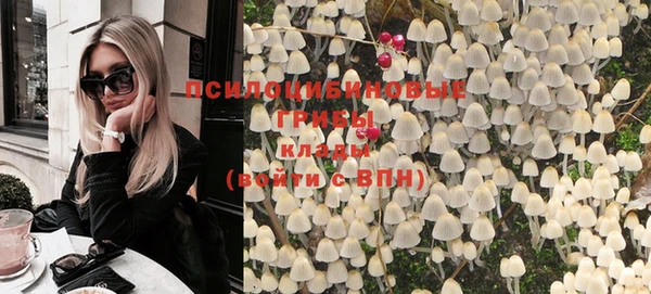 стафф Осинники