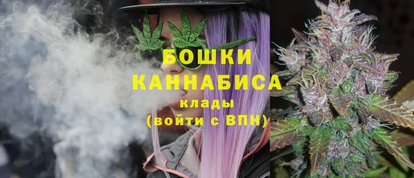 стафф Осинники