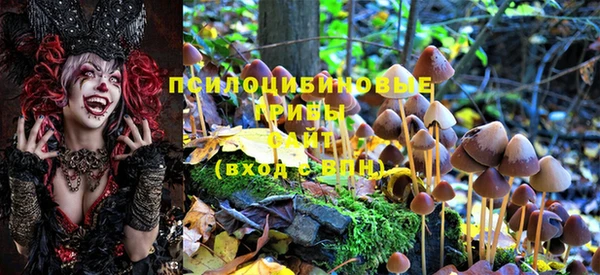 стафф Осинники
