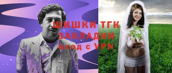 стафф Осинники
