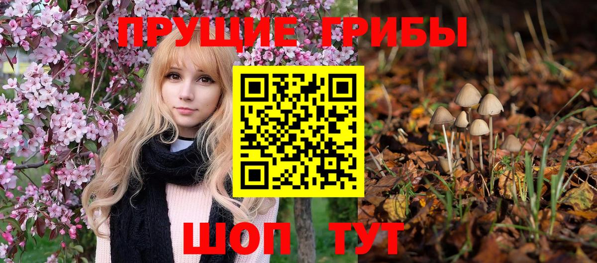 Псилоцибиновые грибы Magic Shrooms  где купить наркоту  Галлюциногенные грибы прущие грибы  Азов 